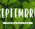 Commencer Un Jardin En Permaculture Charmant Que Faire Dans son Jardin Permaculture En Septembre Permaculture