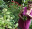 Commencer Un Jardin En Permaculture Charmant Région Franche Té