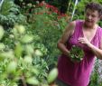 Commencer Un Jardin En Permaculture Charmant Région Franche Té