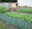 Commencer Un Jardin En Permaculture Élégant Le Potager Bioinspiré Un Jardin Nourricier En Permaculture