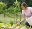 Commencer Un Jardin En Permaculture Élégant Potager En Permaculture Ment Bien Débuter