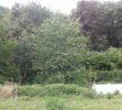 Commencer Un Jardin En Permaculture Luxe Le Blog Du Jardinier Bio Jardiner C Est Notre Nature