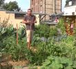 Commencer Un Jardin En Permaculture Nouveau Mon Jardin Potager Urbain Permaculture Sept 2015