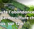 Commencer Un Jardin En Permaculture Unique toute L Abondance De La Permaculture Chez Vous Sur 12m2 Et