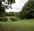 Créer Un Jardin Paysager Nouveau Le Biotope Du Ch¢taignier Et De La Foug¨re Aigle