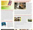 Enterrer son Chat Dans son Jardin Génial Pet & Garden Pro 81 Fr by Invent Media issuu