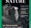 Enterrer Un Animal Dans son Jardin Best Of Calaméo Bourgogne Nature N°24