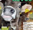 Enterrer Un Animal Dans son Jardin Best Of Revue Ufa 09 19 by Fenaco Genossenschaft issuu