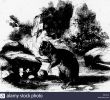 Enterrer Un Animal Dans son Jardin Génial Bii Black and White Stock S & Page 2 Alamy