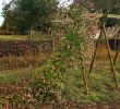 Entretien De Jardin Élégant Le Domaine De L Abbaye Et Ses Jardins thematiques Thiron