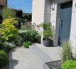 Exemple D Aménagement De Jardin Best Of Idee Amenagement Jardin Devant Maison – Gamboahinestrosa