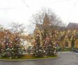 Faire Une Allée De Jardin Charmant the Grays In Europe