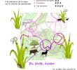 Faire Une Allée De Jardin Génial Agas R¨gles D Hygi¨nes