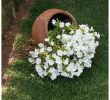 Idee Amenagement Jardin Frais Cascade De Fleurs