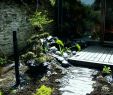 Idee Deco Jardin Exterieur Pas Cher Beau 40 Best Amenagement Jardin Exterieur