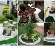 Idee Deco Jardin Exterieur Pas Cher Beau Deco Jacuzzi Exterieur