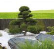 Idee Jardin Paysagiste Beau Amenagement Jardin Zen Des Idées