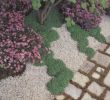 Idee Jardin Paysagiste Inspirant â Provence Garden Gravel