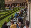 Insectes Du Jardin Best Of Quoi De Neuf sous Le Palmier Des Jacobins 2019 Jacobins