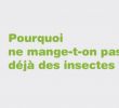 Insectes Du Jardin Nouveau Pin by Insectes Au Menu On Les 7 Bonnes Raisons De Manger