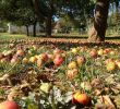 Intermarché Rouen Jardin Des Plantes Génial éducation Au Développement Durable