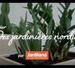 Jardiland Petite foret Luxe Diy Créer Des Jardini¨res nordiques Depuis Mon Hamac