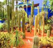 Jardin Agadir Inspirant 9 Reasons to Visit Marrakech In the F Season