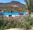 Jardin Agadir Unique Riad De L Olivier Paradise Valley Aksri Morocco Booking