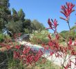 Jardin Botanique Barcelone Frais File Jardi Botanic De Barcelona Wikimedia Mons