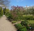 Jardin Botanique Bayeux Inspirant 117 Best Jdpomd2017 Images