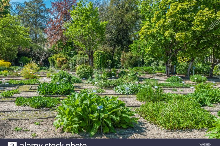 Jardin Botanique Bordeaux Best Of France Gironde Bordeaux Botanical Garden Of the Jardin