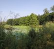 Jardin Botanique Bordeaux Best Of Rennes Familypedia