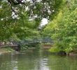 Jardin Botanique Bordeaux Charmant Jardin Public Bordeaux 2020 All You Need to Know before