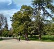 Jardin Botanique Bordeaux Charmant Jardin Public Bordeaux All Year