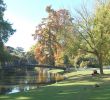 Jardin Botanique Bordeaux Frais File Xdsc 7599 Jardin Public De Bordeaux Wikimedia Mons