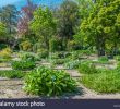 Jardin Botanique Bordeaux Génial France Gironde Bordeaux Botanical Garden Of the Jardin