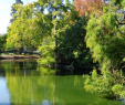 Jardin Botanique Bordeaux Génial Jardin Public Garden Bordeaux Centre