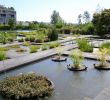 Jardin Botanique Bordeaux Inspirant Le Jardin Botanique Bordeaux