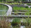 Jardin Botanique Bordeaux Luxe Le Jardin Botanique Bordeaux