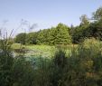 Jardin Botanique Bordeaux Luxe Rennes Familypedia