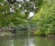 Jardin Botanique Bordeaux Nouveau Jardin Public Bordeaux 2020 All You Need to Know before