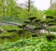 Jardin Botanique Bordeaux Unique Jardin Public Bordeaux 2020 All You Need to Know before