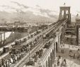 Jardin Botanique De Brooklyn Inspirant Brooklyn Bridge Disaster