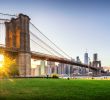 Jardin Botanique De Brooklyn Nouveau How Long It Takes to Walk the Brooklyn Bridge