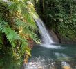 Jardin Botanique De Deshaies Frais Deshaies 2020 Best Of Deshaies Guadeloupe tourism