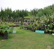 Jardin Botanique De tours Beau Summer In French Gardens Garden Map