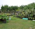 Jardin Botanique De tours Beau Summer In French Gardens Garden Map