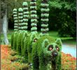 Jardin Botanique De tours Frais 44 Best Cactus Garden Images