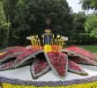 Jardin Botanique De tours Inspirant 205 Best topiary Images