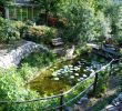 Jardin Botanique De tours Nouveau the Provence Post Five Gorgeous Provence Gardens to Visit